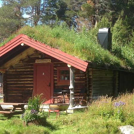 Batsto Camping Elga Esterno foto