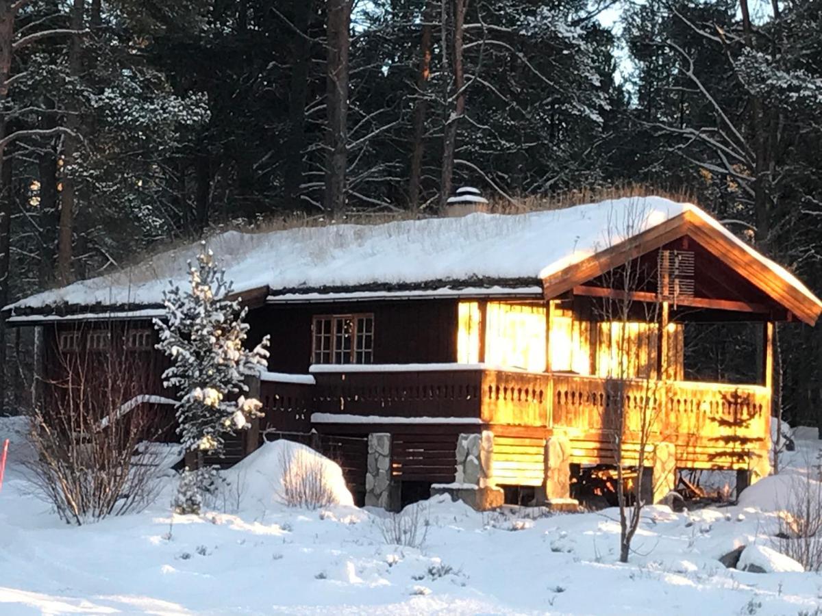 Batsto Camping Elga Esterno foto