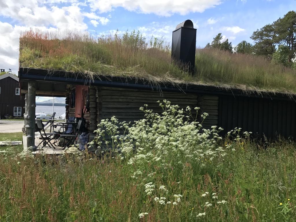 Batsto Camping Elga Esterno foto