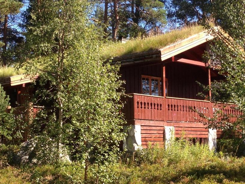 Batsto Camping Elga Esterno foto